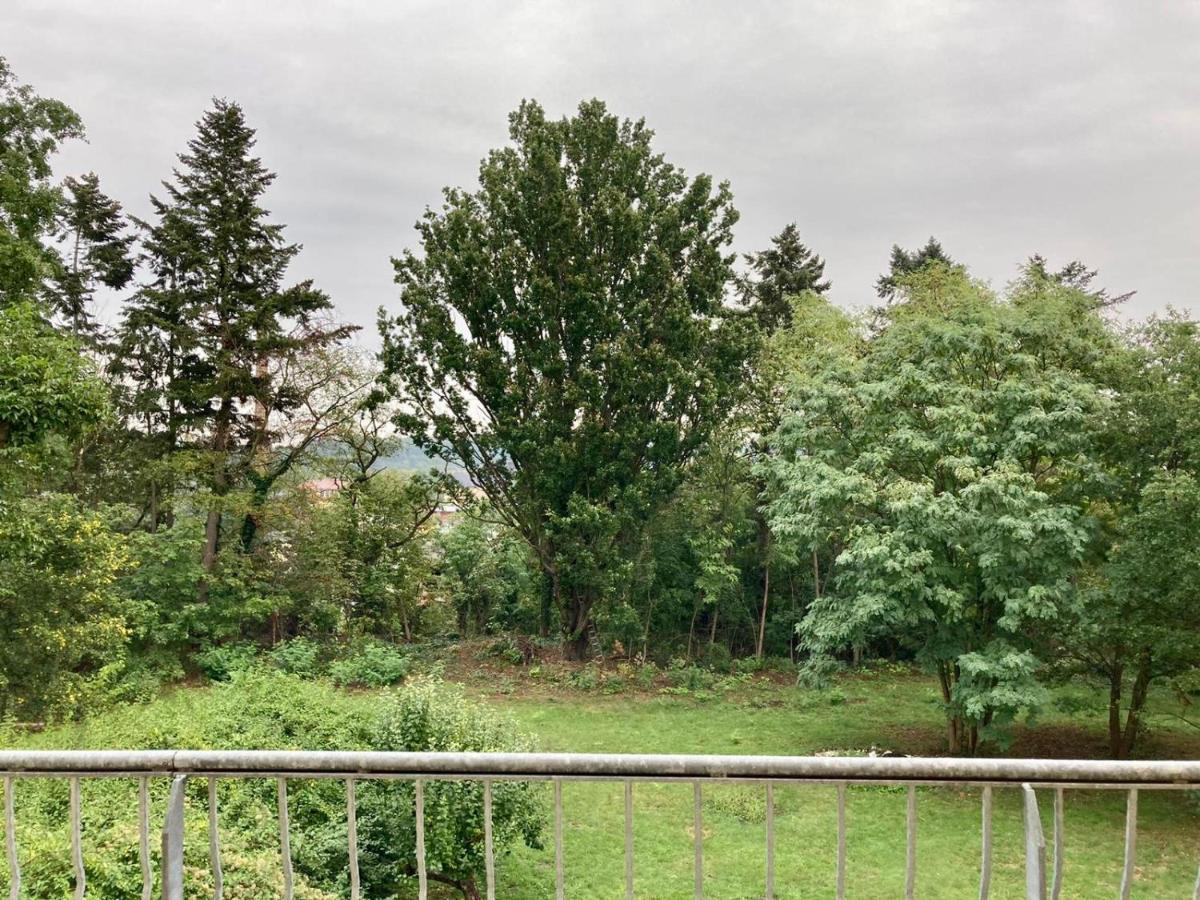 Villa Schomberg Spremberg Eksteriør bilde